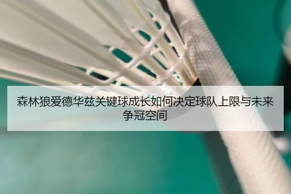 森林狼爱德华兹关键球成长如何决定球队上限与未来争冠空间